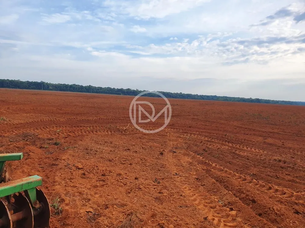 Fazenda, 2500 m² - Foto 2