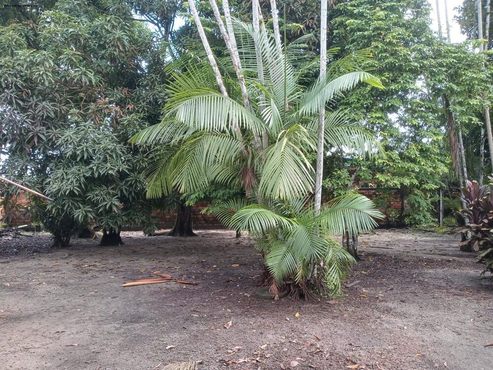 Terreno, 2112 m² - Foto 4