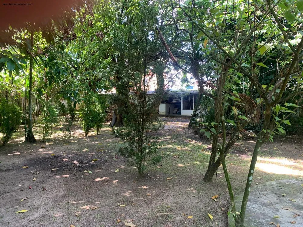 Sítio, 2 quartos, 5543 m² - Foto 2