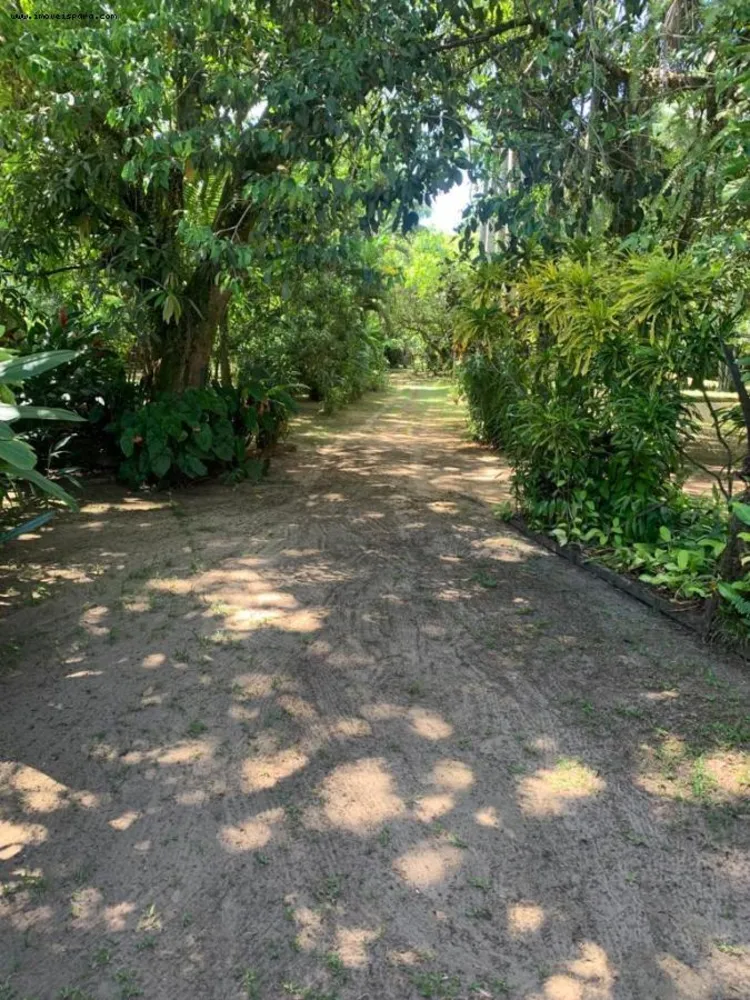 Sítio, 2 quartos, 5543 m² - Foto 15