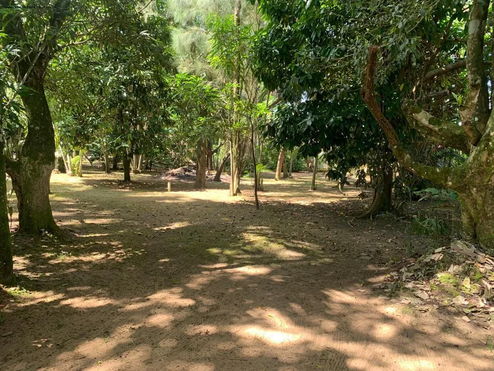 Sítio, 2 quartos, 5543 m² - Foto 10