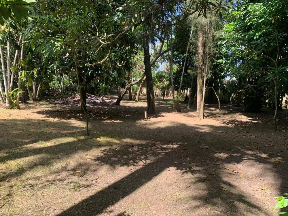 Sítio, 2 quartos, 5543 m² - Foto 11