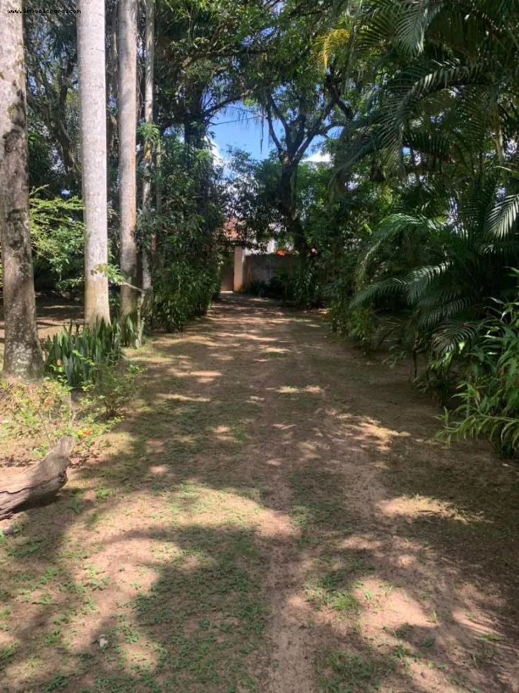 Sítio, 2 quartos, 5543 m² - Foto 12