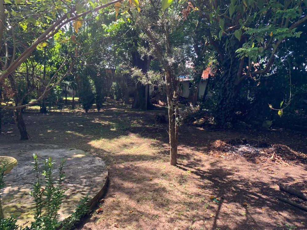 Sítio, 2 quartos, 5543 m² - Foto 4