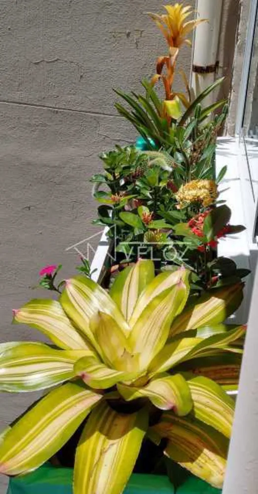 Apartamento, 1 quarto, 30 m² - Foto 25
