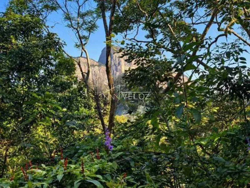 Apartamento, 4 quartos, 230 m² - Foto 12