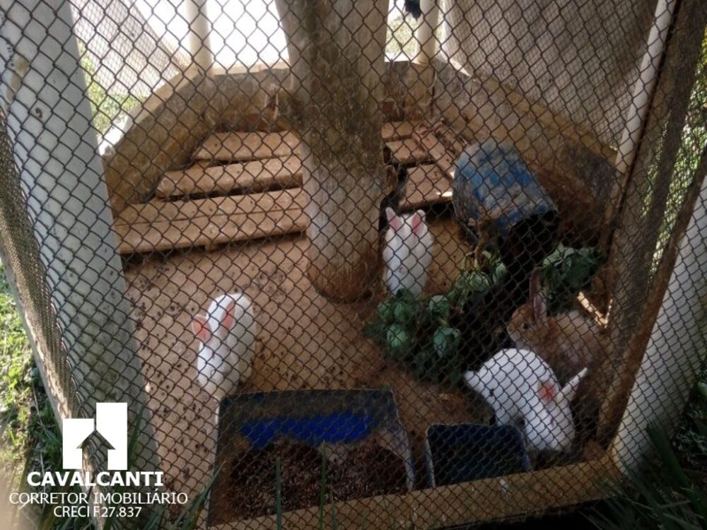 Casa, 4 quartos, 1000 m² - Foto 23