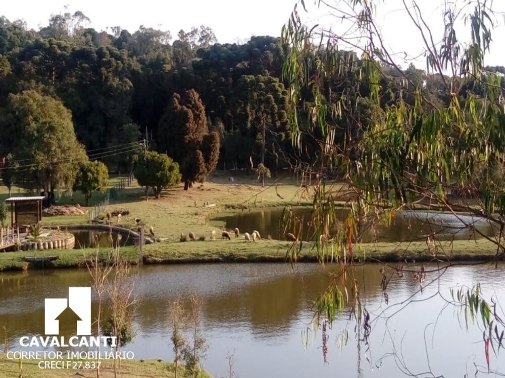 Casa, 4 quartos, 1000 m² - Foto 12