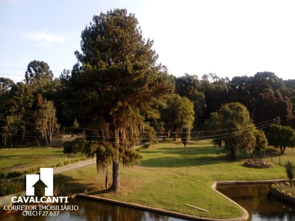 Casa, 4 quartos, 1000 m² - Foto 15