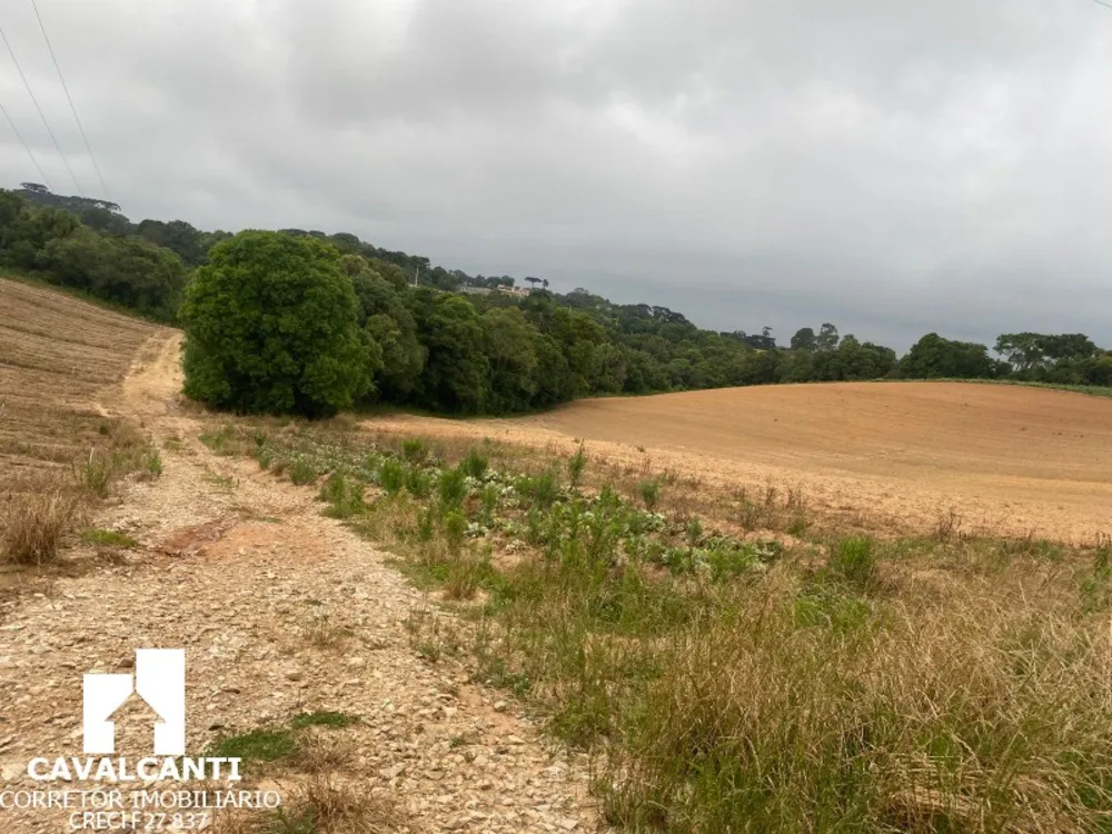 Terreno, 17 hectares - Foto 15