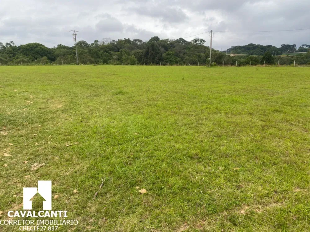 Terreno, 17 hectares - Foto 8