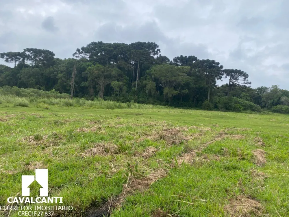 Terreno, 17 hectares - Foto 12