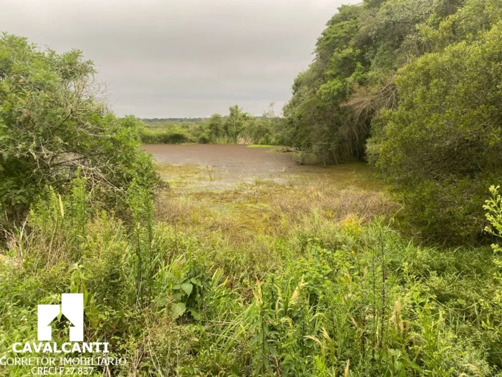 Terreno, 17 hectares - Foto 11