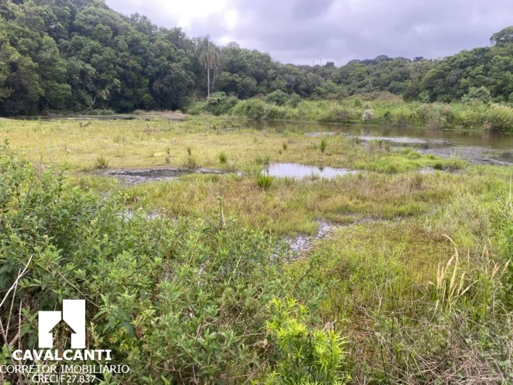 Terreno, 17 hectares - Foto 13