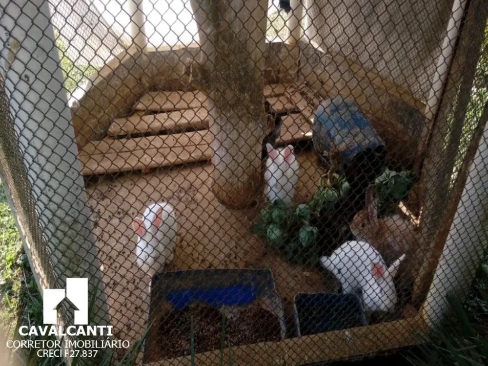 Casa, 4 quartos, 1000 m² - Foto 15