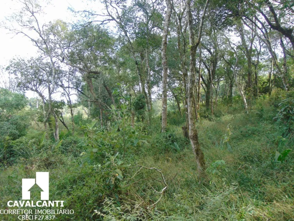 Terreno, 1 hectares - Foto 3