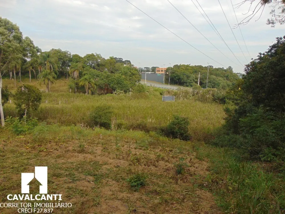 Terreno, 1 hectares - Foto 7