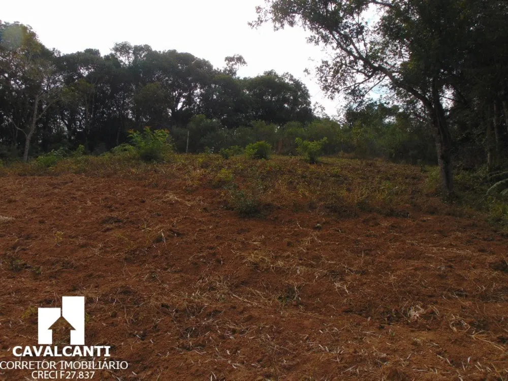 Terreno, 1 hectares - Foto 4
