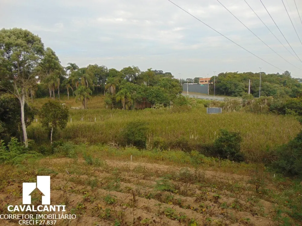 Terreno, 1 hectares - Foto 6