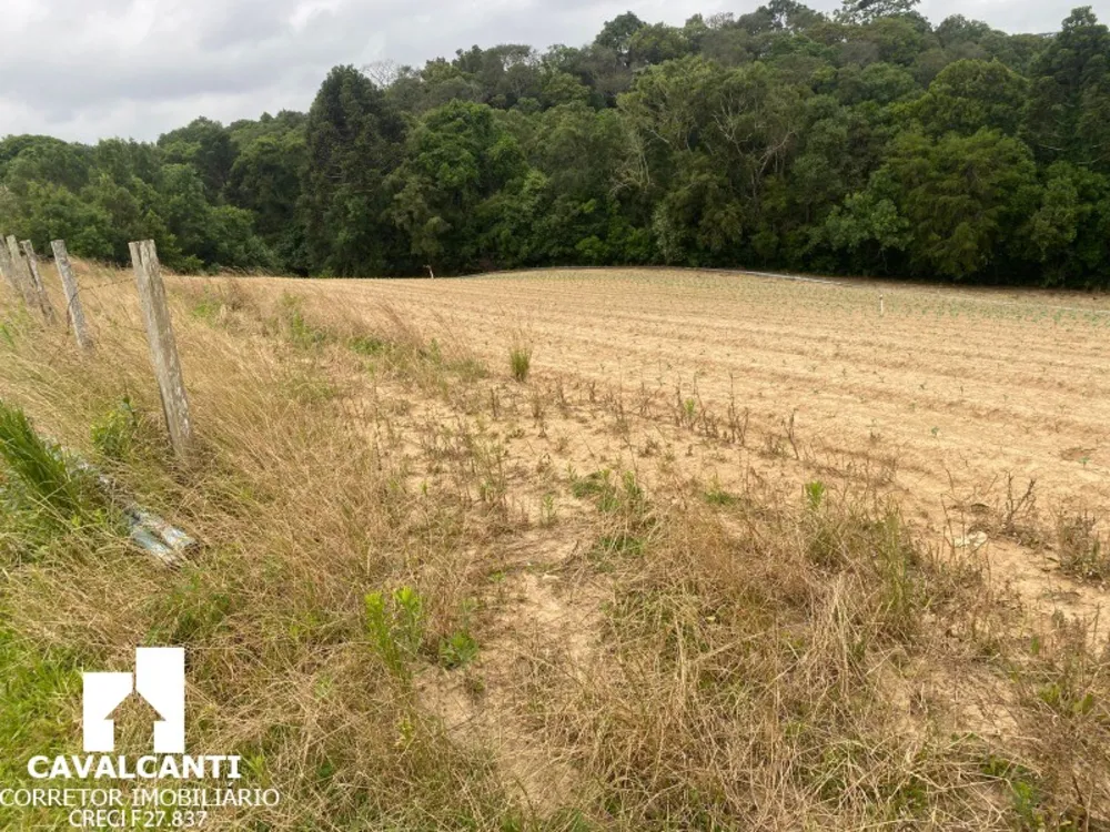 Fazenda, 17 hectares - Foto 9