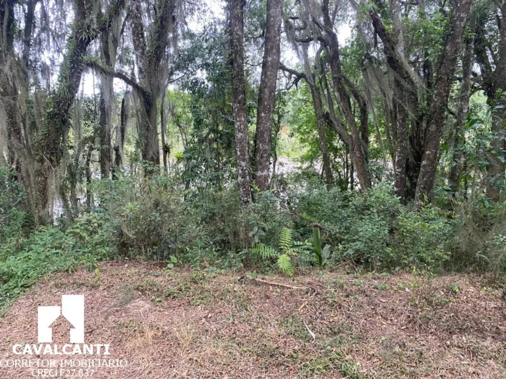 Fazenda, 17 hectares - Foto 10