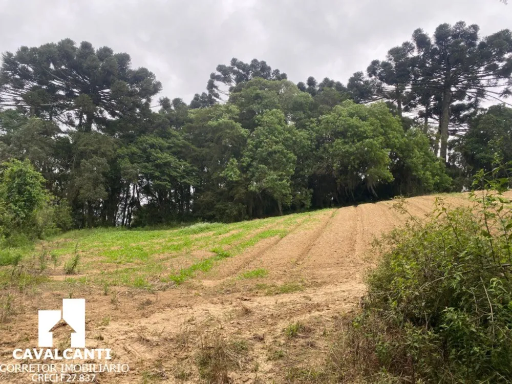 Fazenda, 17 hectares - Foto 11