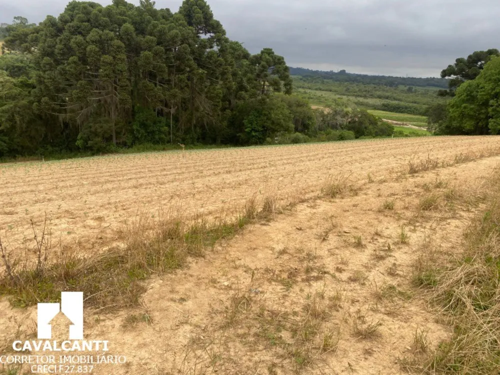 Fazenda, 17 hectares - Foto 8