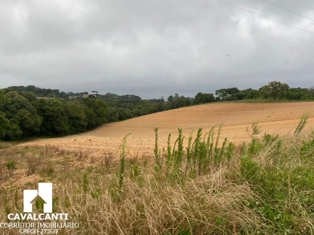 Fazenda, 17 hectares - Foto 14