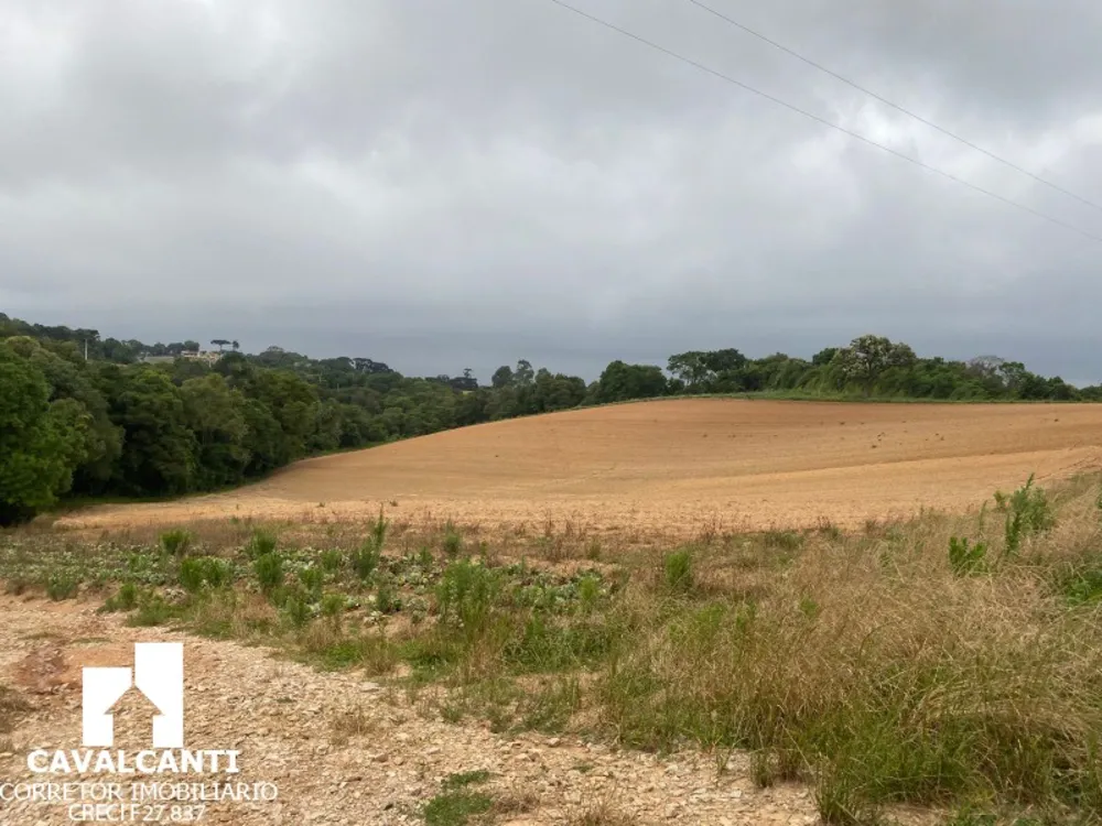 Fazenda, 17 hectares - Foto 16