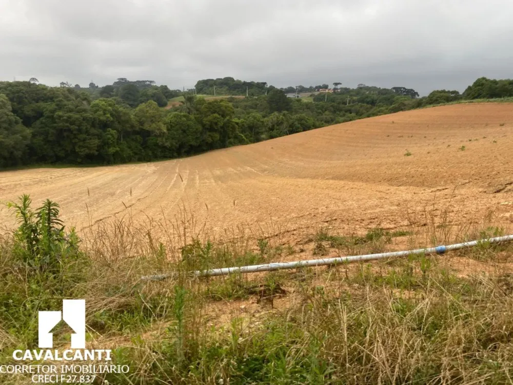 Fazenda, 17 hectares - Foto 13