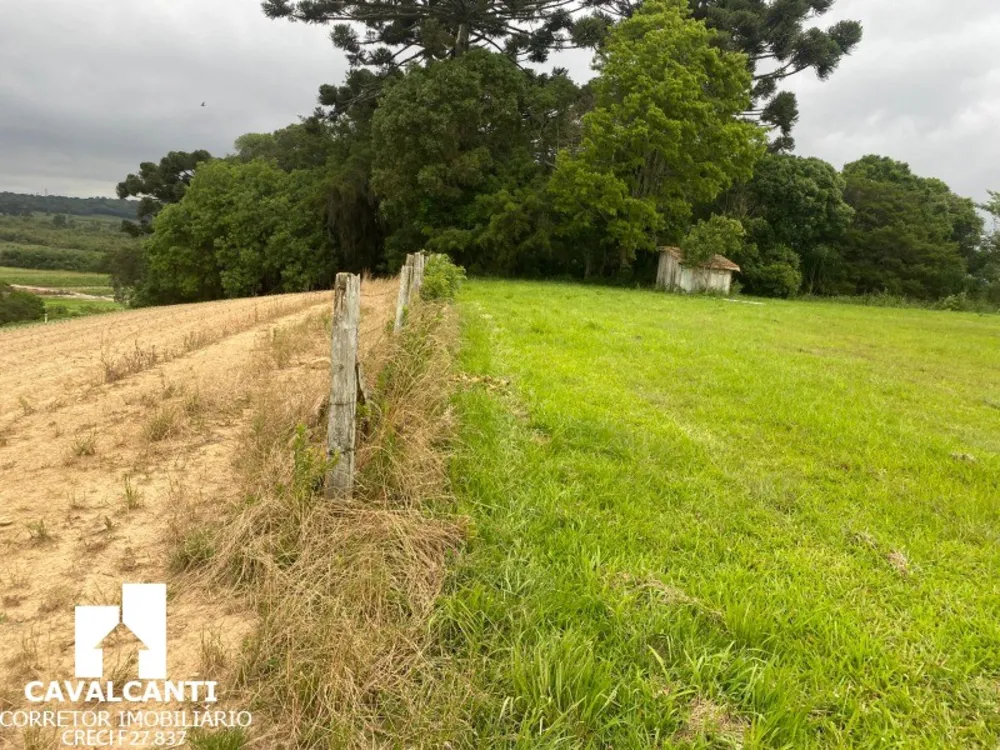 Fazenda, 17 hectares - Foto 7