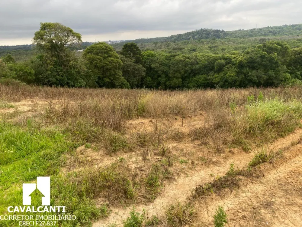 Fazenda, 17 hectares - Foto 6