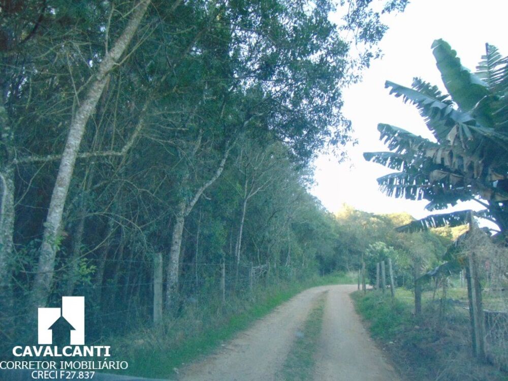 Terreno, 8 hectares - Foto 2