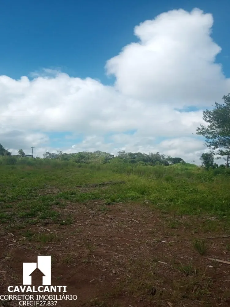Terreno, 8 hectares - Foto 14