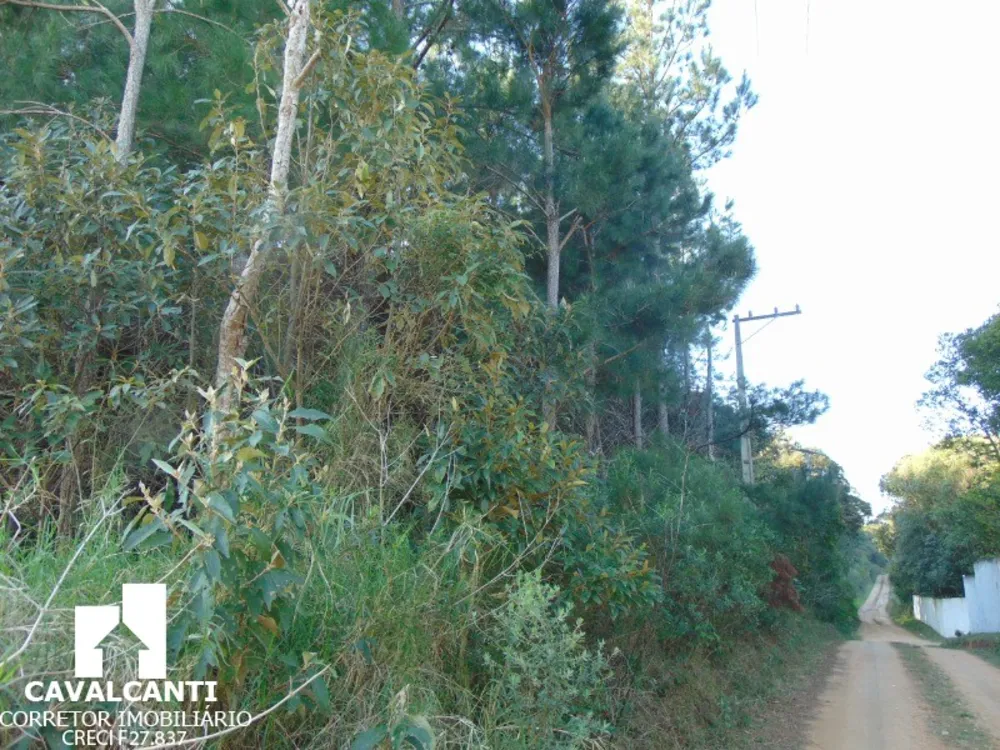 Terreno, 8 hectares - Foto 11