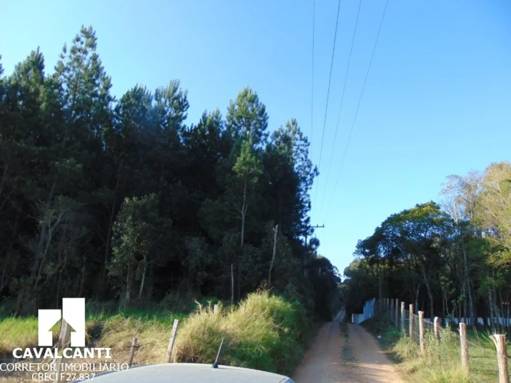 Terreno, 8 hectares - Foto 3