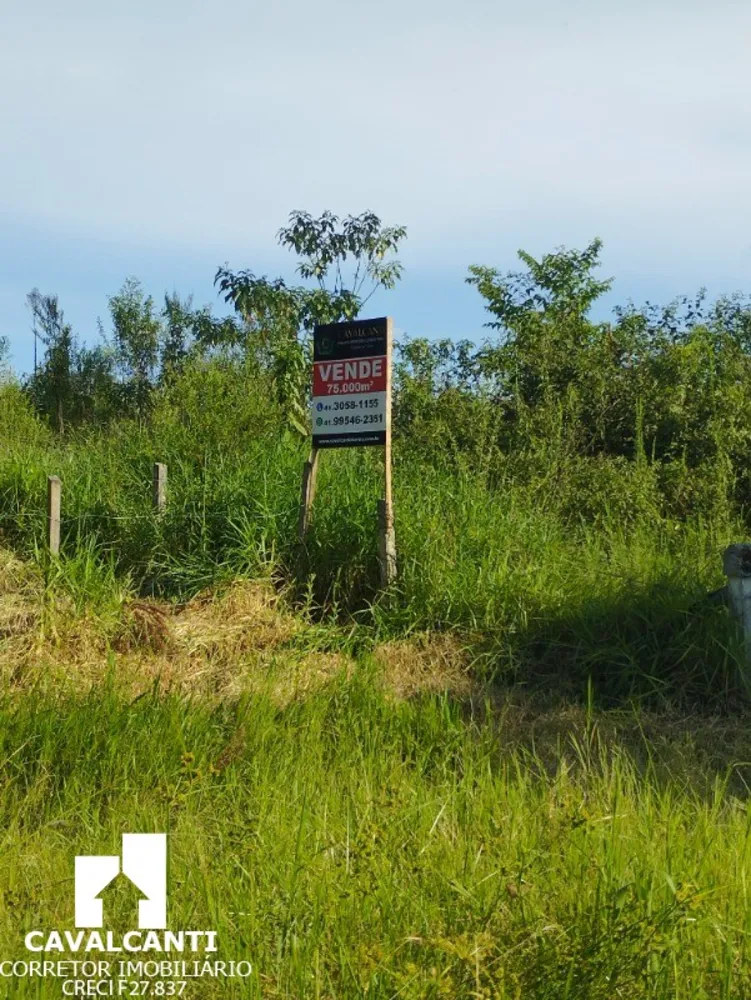 Terreno, 8 hectares - Foto 7