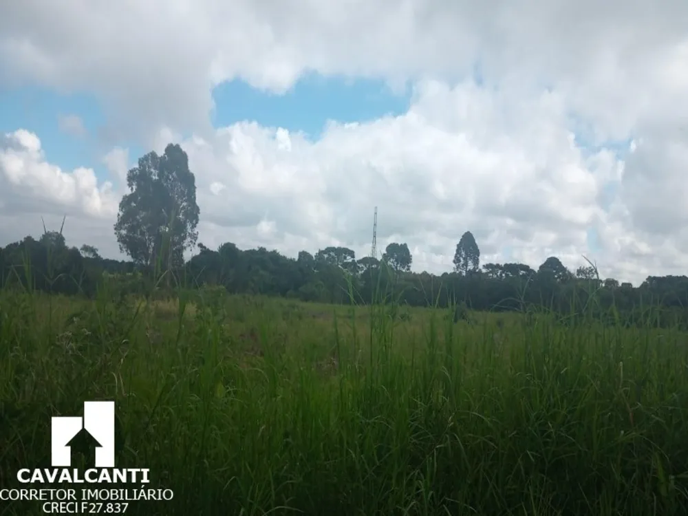 Fazenda - Foto 9