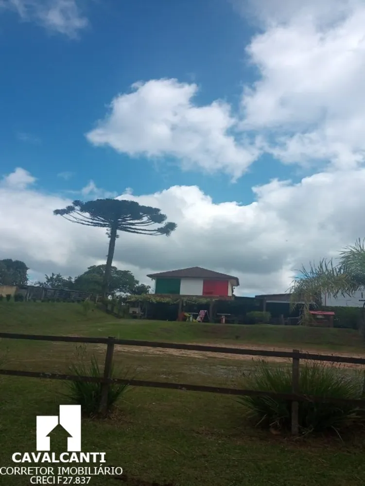 Fazenda - Foto 5