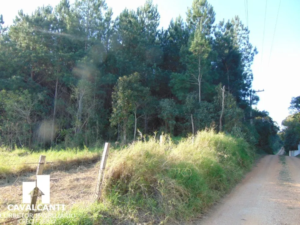 Fazenda - Foto 12