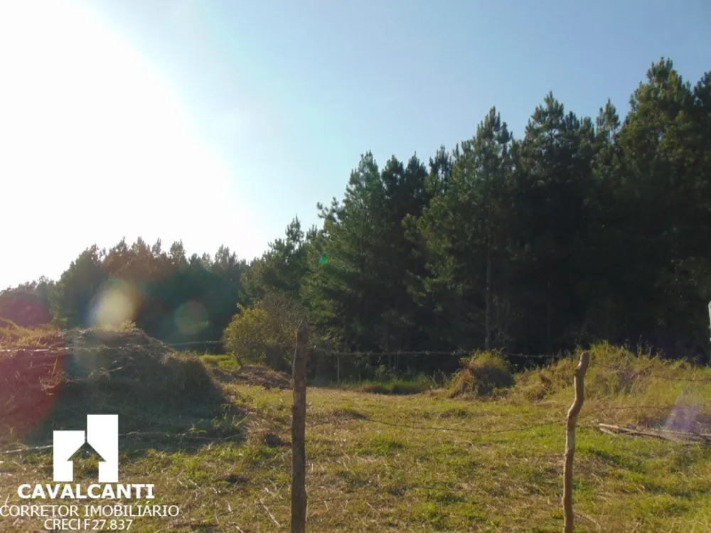 Fazenda - Foto 7