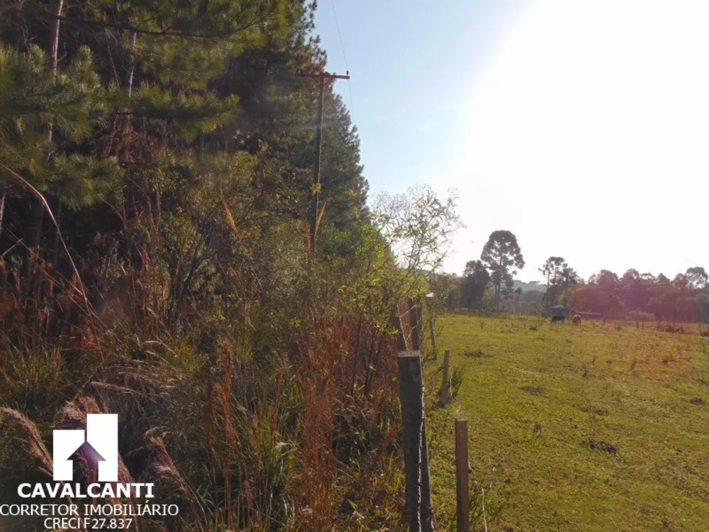 Haras e Área Rural Padrão à venda - Foto 4