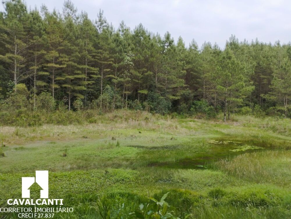 Chácara, 1 quarto - Foto 6