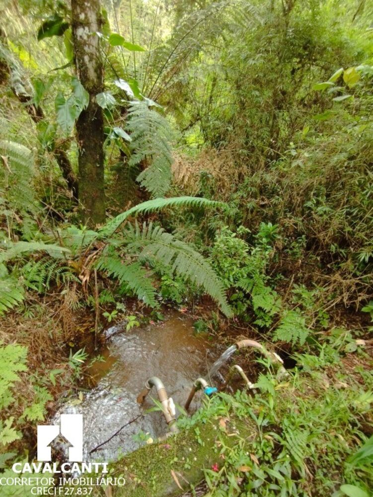 Chácara, 1 quarto - Foto 7