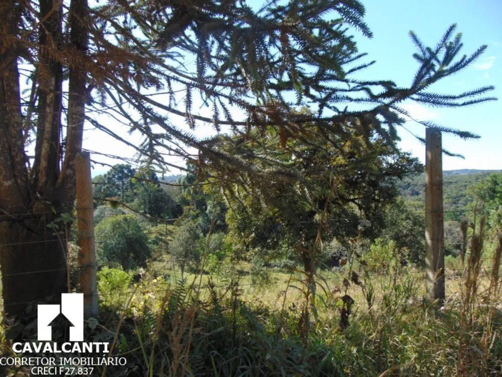 Sítio, 3 quartos, 17 hectares - Foto 20