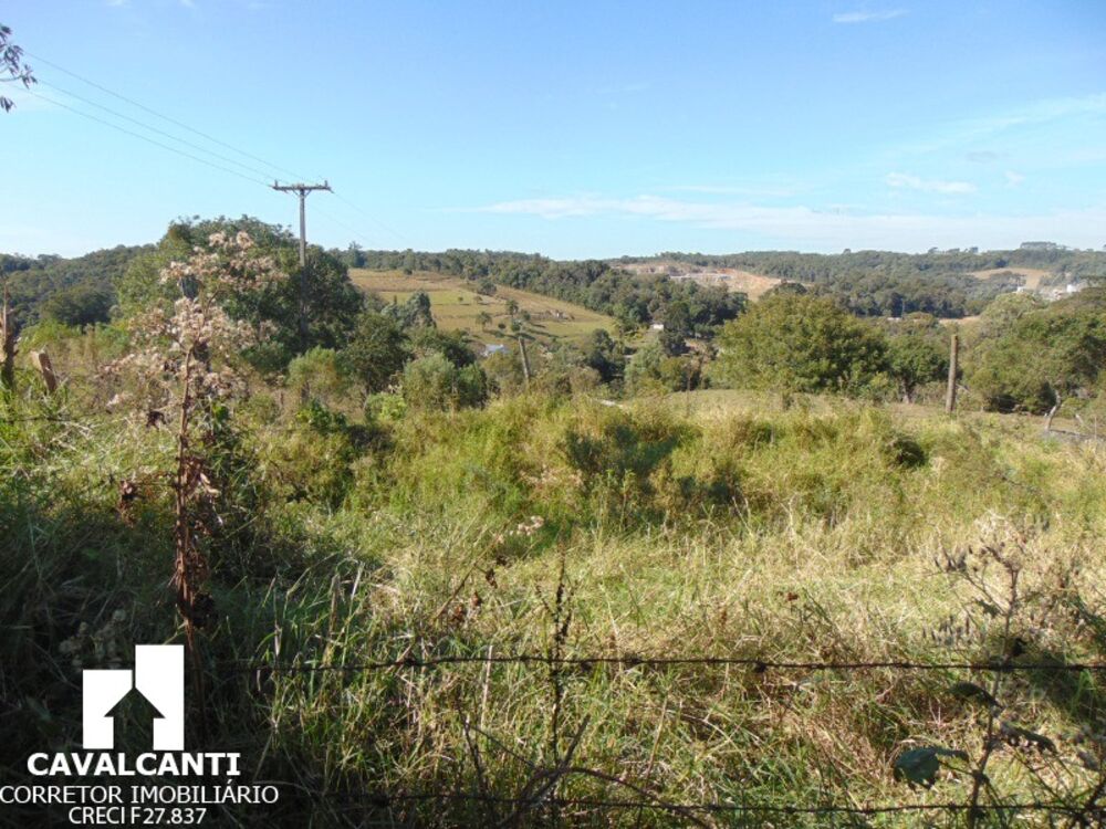 Sítio à venda e aluguel com 3 quartos, 166000m² - Foto 7
