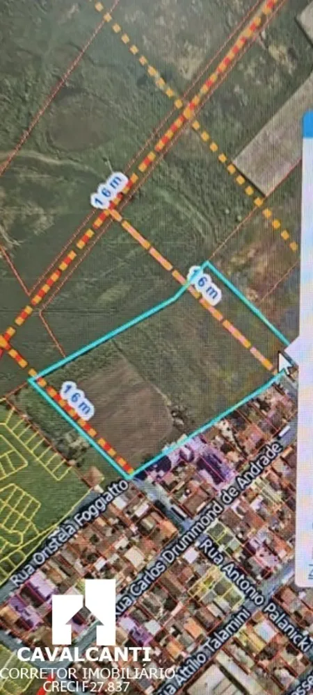 Loteamento e Condomínio, 2 hectares - Foto 2
