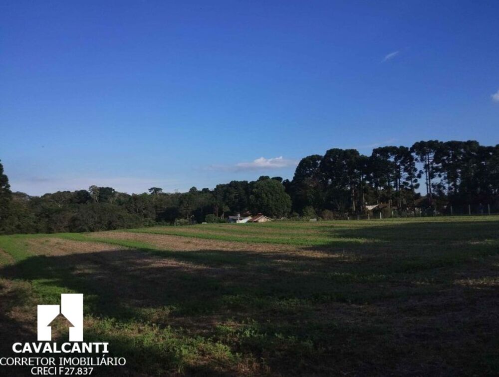 Chácara, 1 hectares - Foto 2