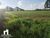 Chácara, 1 hectares - Foto 4