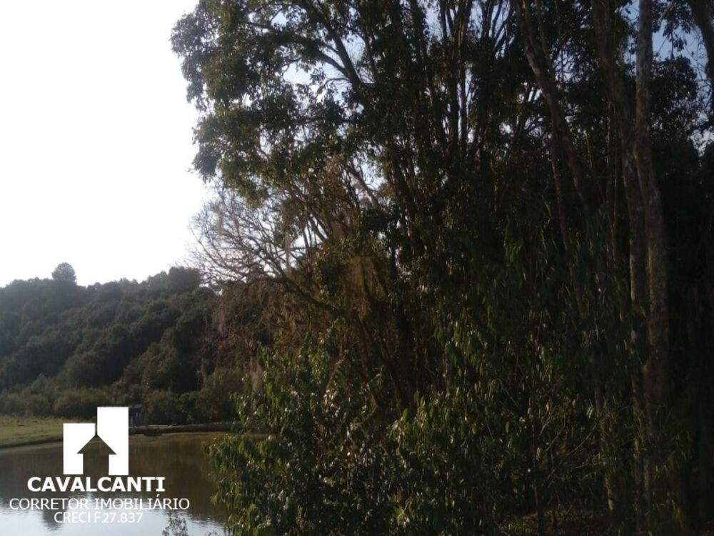 Chácara para alugar com 4 quartos, 1000m² - Foto 6